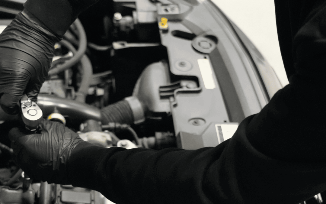 Grote beurt v.a. € 249,-